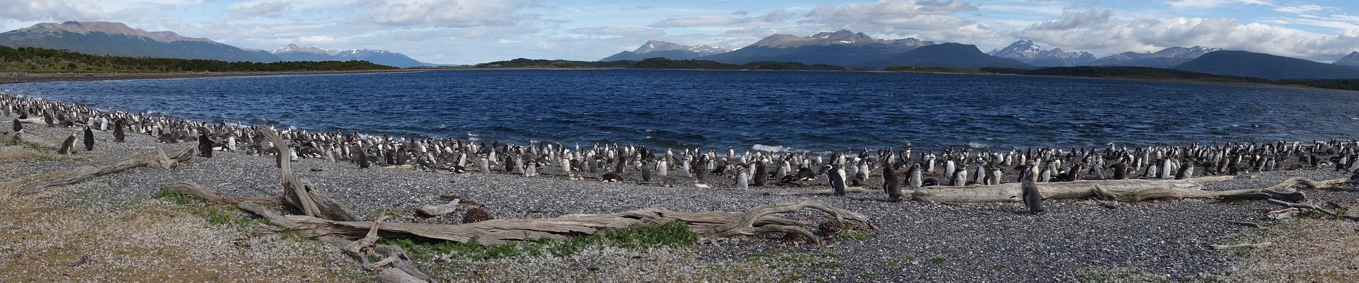 Image Courtesy of Pixabay.com Photographer